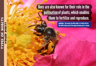 Science - All About Animals 2