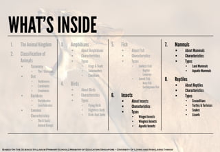 Science - All About Animals 2