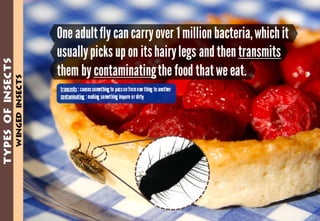 Science - All About Animals 2