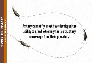 Science - All About Animals 2