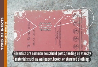 Science - All About Animals 2