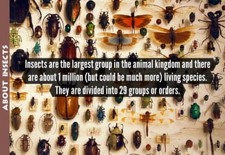 Science - All About Animals 2