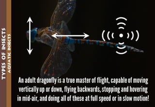 Science - All About Animals 2