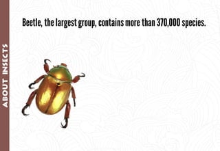 Science - All About Animals 2