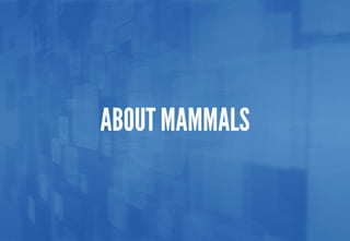 Science - All About Animals 2