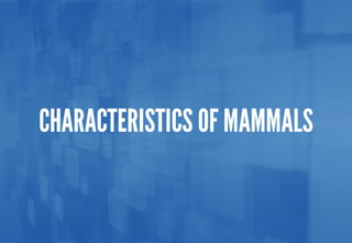 Science - All About Animals 2