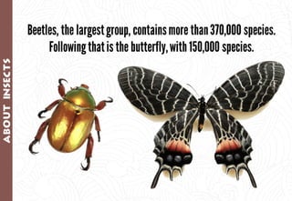 Science - All About Animals 2