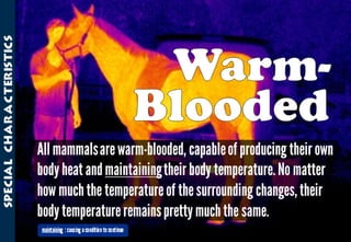 Science - All About Animals 2