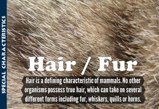 Science - All About Animals 2