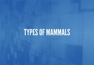 Science - All About Animals 2