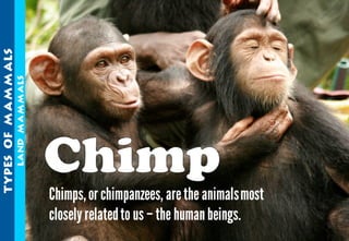 Science - All About Animals 2