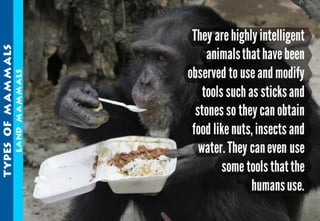 Science - All About Animals 2