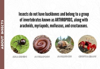 Science - All About Animals 2