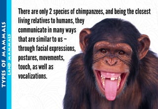 Science - All About Animals 2