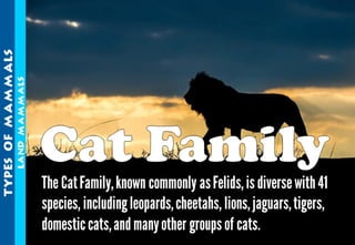 Science - All About Animals 2