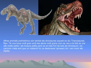 Altres animals prehistòrics són també els dinosaures aquest es diu Tiranosaures Rex. Té una boca molt gran amb les dents molt grans com es veu a la foto te uns ulls molts petits i els braços petits però es el més fort de tots els dinosaure i es carnívor mala sort que un meteorit ho va destrossar (arrasar) tot i van morir els rèptils. 