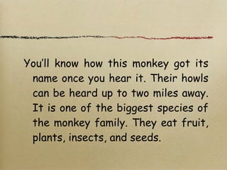 You’ll know how this monkey got its
name once you hear it. Their howls
can be heard up to two miles away.
It is one of the biggest species of
the monkey family. They eat fruit,
plants, insects, and seeds.
 