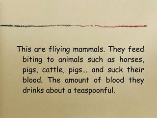 This are fliying mammals. They feed
biting to animals such as horses,
pigs, cattle, pigs... and suck their
blood. The amount of blood they
drinks about a teaspoonful.
 