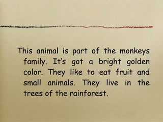 This animal is part of the monkeys
family. It’s got a bright golden
color. They like to eat fruit and
small animals. They live in the
trees of the rainforest.
 