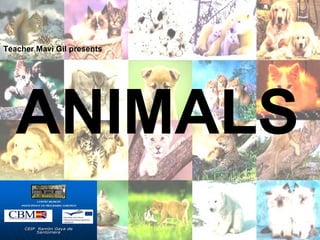 ANIMALS
Teacher Mavi Gil presents
 