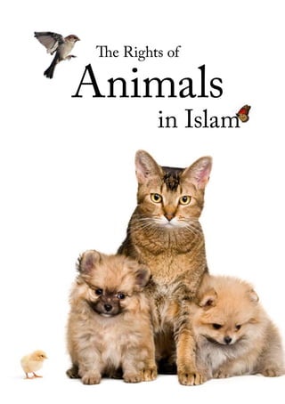 The Rights of

Animals
          in Islam
 
