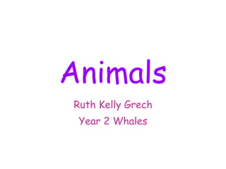 Animals Ruth Kelly Grech Year 2 Whales 