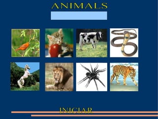 ANIMALS  INICIAR 