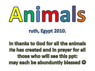 Animalsruth, Egypt 2010.In thanks to God for all the animals He has created and in prayer for all those who will see this ppt: may each be abunduntly blessed  
