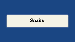Snails
 
