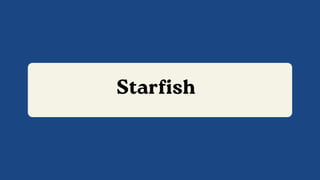 Starfish
 