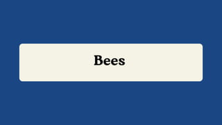 Bees
 