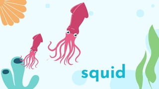 squid