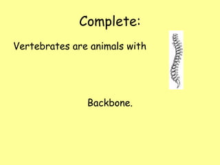 Complete:
Vertebrates are animals with




               Backbone.
 