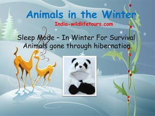 Animals in the Winter
           India-wildlifetours.com

Sleep Mode – In Winter For Survival
  Animals gone through hibernation.
 