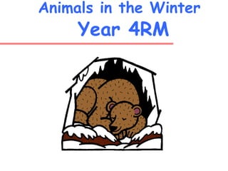 Animals in the Winter
Year 4RM
 