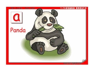 Panda  