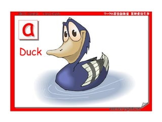 Duck  