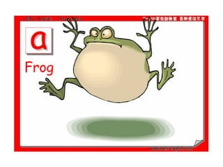 Frog  