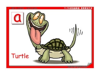Turtle  