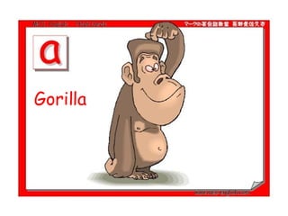 Gorilla  