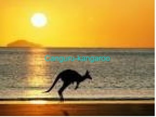Canguru-kangaroo