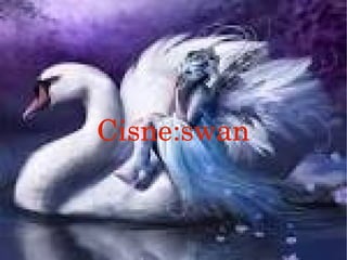 Cisne:swan