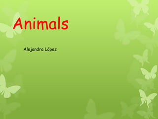 Animals
Alejandra López
 