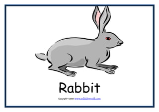 Animals 1 flashcards | PDF | Dogs | Pets