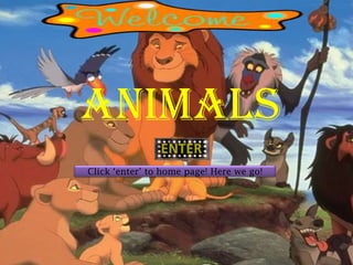 ANIMALS
Click „enter‟ to home page! Here we go!
 