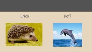 Eriçó

Dofí

 