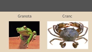 Granota

Cranc

 