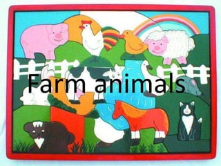 Farm animals
 