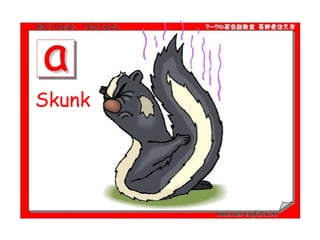 Skunk 