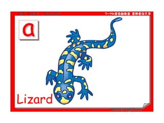 Lizard 